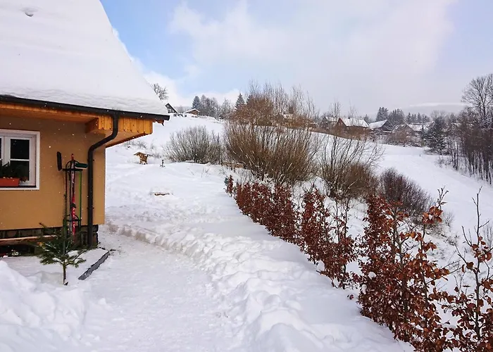 U Bobra-2 By Interhome * Horní Rokytnice