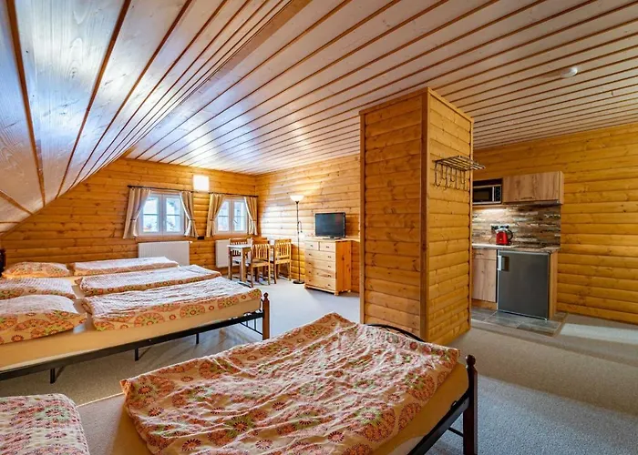 Lägenhet U Bobra-2 By Interhome Horní Rokytnice